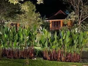 拜县帕拉维达拜度假酒店的一座花园,在房子前面种植了绿色植物