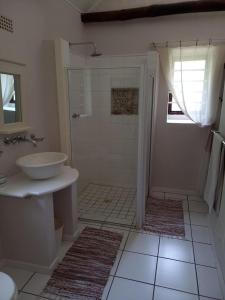 奥茨胡恩Aloe Valley Retreat的白色的浴室设有水槽和淋浴。