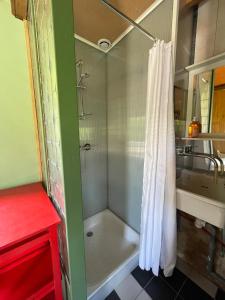TullinsJolie cabane avec jacuzzi pour les amoureux de la nature的带浴缸和盥洗盆的淋浴浴室