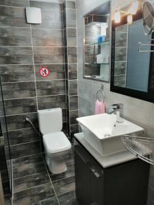 特里卡拉Modern Residence in the Center of Trikala的浴室配有白色卫生间和盥洗盆。