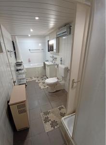 波罗斯洛Harmónia Parasztház és Apartman的浴室配有卫生间、盥洗盆和浴缸。