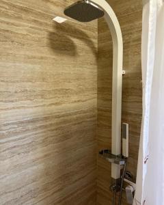 奥库格哥恩基apartment Julija的带淋浴的浴室和木墙