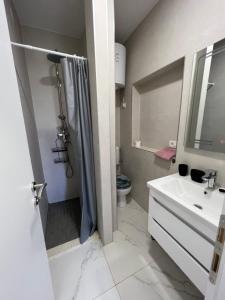 奥库格哥恩基apartment Vujcic 2的带淋浴、盥洗盆和卫生间的浴室