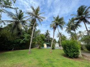 乌纳瓦图纳Villa Gaetano Unawatuna的两棵棕榈树,在院子里