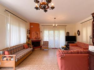尼基季Private Paradise in Nikiti的客厅配有两张沙发和一台电视机