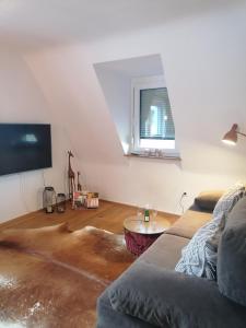 维尔茨堡stilvolle Wohnung direkt in der City的带沙发和电视的客厅
