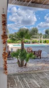 利扎诺B&B Sogno Salentino的棕榈树坐在泳池旁的两长凳旁边