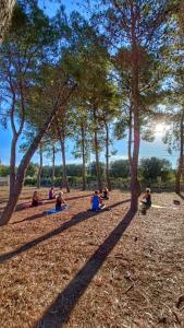 利扎诺B&B Sogno Salentino的一群人坐在树下的草地上