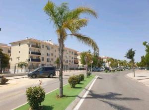 拉阿尔加瓦Alojamiento con piscina y parking en Sevilla的街道边的棕榈树