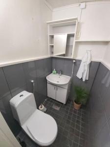伊马特拉Imatra "Sunrise" huoneisto koodilukolla的浴室配有白色卫生间和盥洗盆。