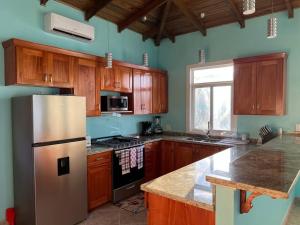巴斯蒂门多斯Casita Azul的厨房配有木制橱柜和不锈钢冰箱。