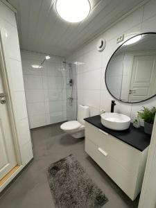 KleppLeilighet til leie på Klepp nært Borestranden的一间带卫生间、水槽和镜子的浴室