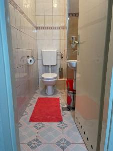 萨拉热窝Airport Sarajevo Apartment 1的一间带卫生间和红色地毯的浴室