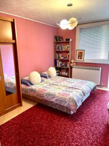 萨拉热窝Airport Sarajevo Apartment 1的一间卧室配有一张床,铺有红色地毯