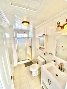North Palmetto PointEleuthera Retreat - Villa & Cottages on pink sand beachfront的白色的浴室设有卫生间和水槽。