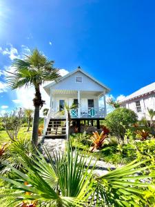 North Palmetto PointEleuthera Retreat - Villa & Cottages on pink sand beachfront的前面有棕榈树的白色房子