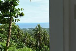 曼巴豪The balcony of the camiguin island的棕榈树客房享有海景。