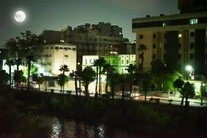 开罗Nile Villa Hotel的城市的夜景与满月