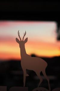塞尔塞迪利亚Corzo Hotel的日落前的鹿的轮廓