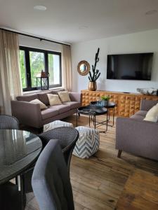 戈恰乌科维采·兹德鲁伊Villa Pinia的带沙发和电视的客厅