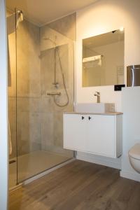 OostrozebekeHotel Swaenenburg的带淋浴、盥洗盆和镜子的浴室