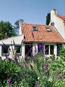 斯容代克Little Secret Zeeland + ligbad的前面有紫色花的房屋