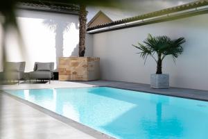 伊尔米茨KRACHER Apartment No 1的棕榈树间的大型蓝色游泳池