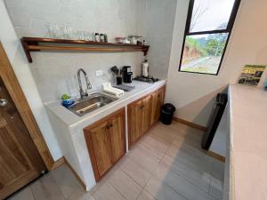 德雷克Pacheco Tours Rainforest Cabins的一个带水槽和柜台的小厨房
