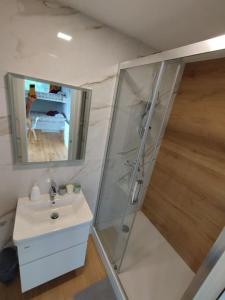 Velike LaščeHoliday house Hona Lux的浴室配有盥洗盆和带镜子的淋浴