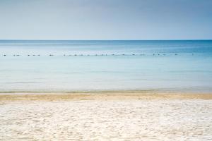 沙美岛Diamond Beach Resort的海水里一群鸟的海滩