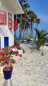 黎明之村Greek Bay的海滩上的一座建筑,种植了粉红色的花卉和棕榈树