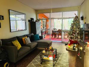 伊基托斯Otorongo Guest House的客厅配有圣诞树和沙发