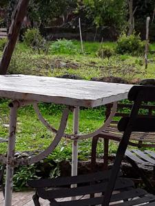 Valverde大树住宿加早餐旅馆的旁边一张带椅子的野餐桌