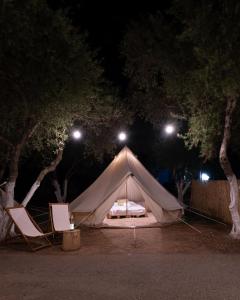 加藤-达拉特索哈尼亚露营地的夜间公园里的一个帐篷,配有一张床