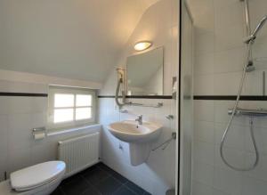 巴尔莱-赫尔托赫Sfeervol landhuis in de groene Kempen的一间带水槽、卫生间和淋浴的浴室