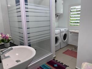 萨莱比梅Chambre d'hôte à 5Mn de l’aéroport的一间带水槽和洗衣机的浴室