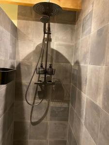 阿森B&B Stoet & Berre Geheel privé 1 - 4 pers的带淋浴喷头的浴室