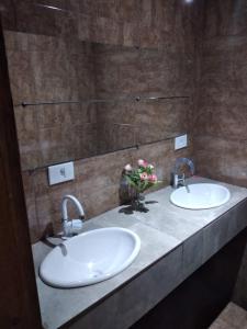 巴西利亚Angel Locação de Quartos的浴室里的两个水槽,在台面上放着鲜花