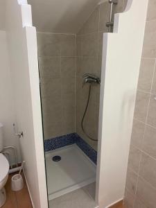 圣安尼Ocean dream的带淋浴和卫生间的浴室