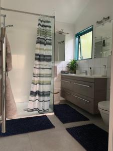 旺阿雷Harbour Lane Apartment的带淋浴、卫生间和盥洗盆的浴室