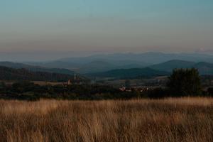 卢托维斯卡Chatka Biesczadersko的一片高大的棕色草,背景是群山