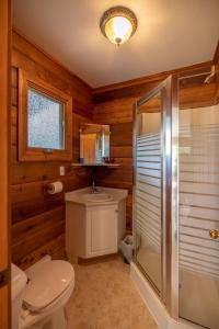 泰特若讷卡什米卡山山林小屋及小木屋的浴室配有卫生间、淋浴和盥洗盆。