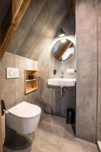 BornerbroekVakantiehuis in een prachtige bosrijke omgeving in Twente!的一间带卫生间和水槽的浴室