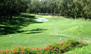 杰迪代Villa meublée face à la mer, Golf et Verdure的享有高尔夫球场和绿色美景