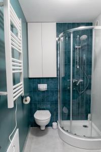 拉多姆Komfortowe przytulne nowoczesne mieszkanie Radom的一间带卫生间和玻璃淋浴间的浴室