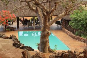 奥乔Okutala Etosha Lodge的中间有树的蓝色游泳池