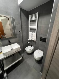 都灵Hotel Ferrucci的一间带水槽、卫生间和镜子的浴室
