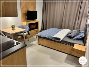 考斯赛力克Górska Enklawa的一间卧室配有一张床、一台电视和一张桌子