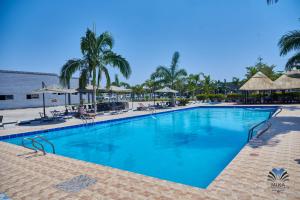 卢萨卡米卡会议中心酒店的一座棕榈树和遮阳伞的大型游泳池