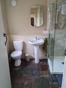 KintburyGorgeous 2 bedroom Kintbury cottage的浴室配有卫生间、盥洗盆和淋浴。